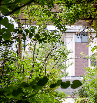 コンセプト画像2